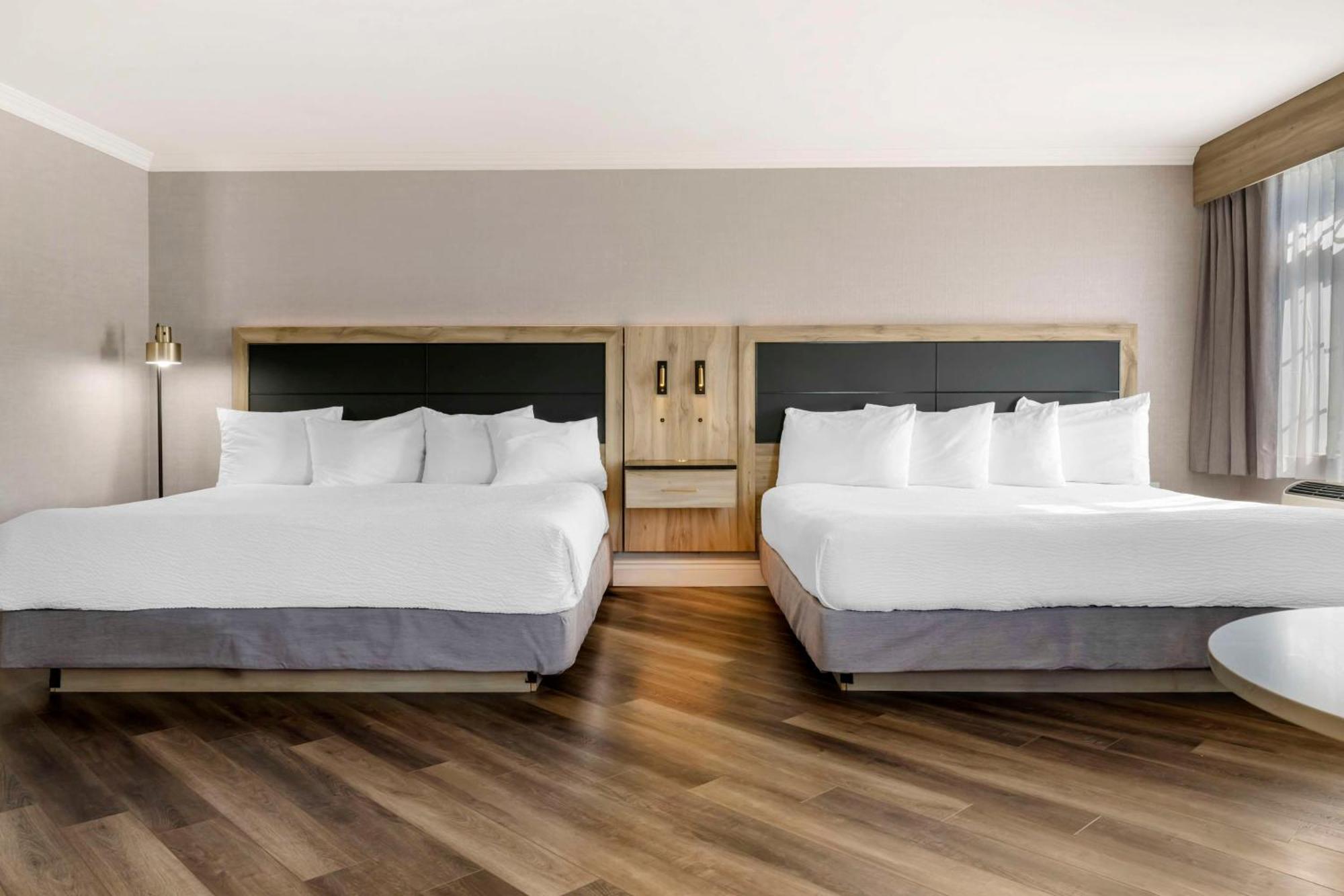 Best Western Plus Edmundston Extérieur photo